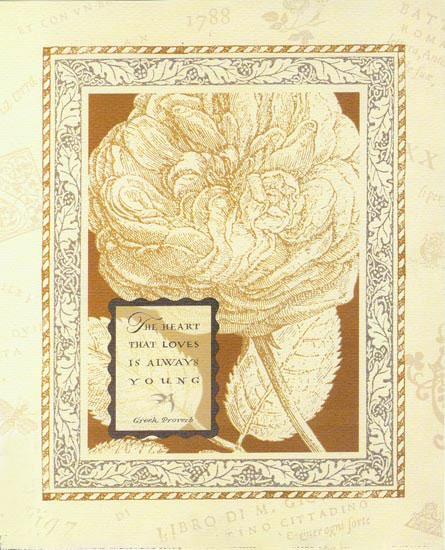 Compatible Floral Jahrriesnge  for flowers-lpf06718 