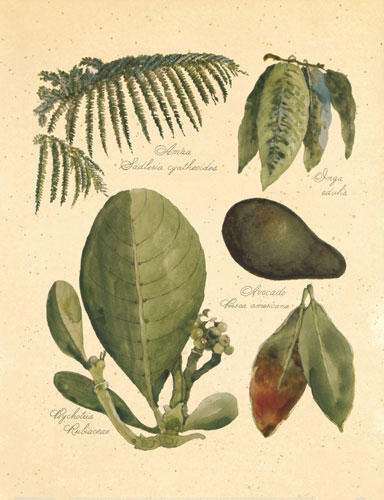 Compatible Floral JAHRRIESNGE  for flowers-lpf06747 