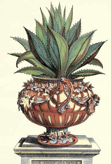 Compatible Floral Jahrriesnge  for flowers-lpf06773 