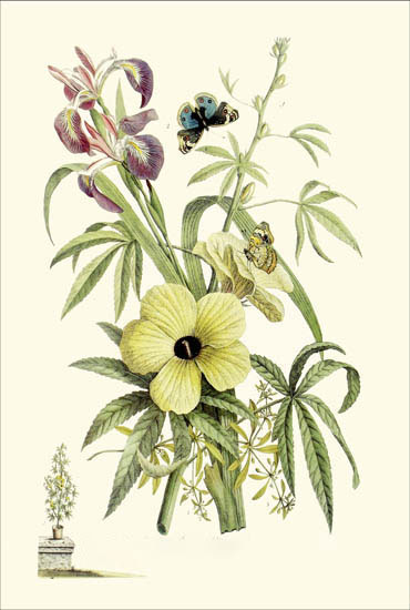 Compatible Floral Jahrriesnge  for flowers-lpf06784 