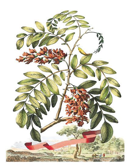 Compatible Floral JAHRRIESNGE  for flowers-lpf06791 