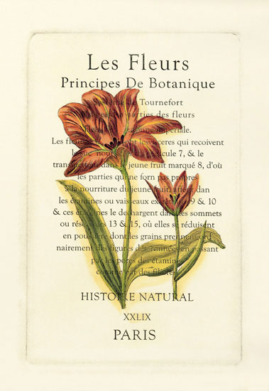 Compatible Floral Jahrriesnge  for flowers-lpf06793 