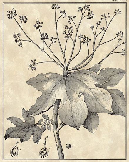 Compatible Floral Jahrriesnge  for flowers-lpf06799 