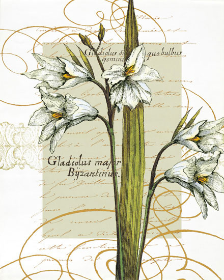 Compatible Floral Jahrriesnge  for flowers-lpf06821 