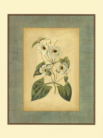 Compatible Floral Jahrriesnge  for flowers-lpf06838 