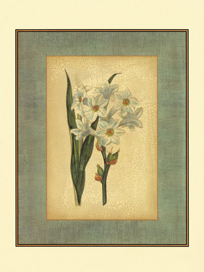 Compatible Floral Jahrriesnge  for flowers-lpf06840 