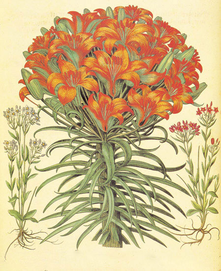 Compatible Floral Jahrriesnge  for flowers-lpf06871 