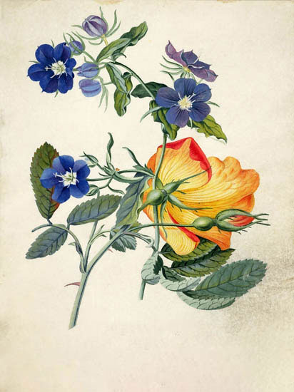 Compatible Floral JAHRRIESNGE  for flowers-lpf06889 