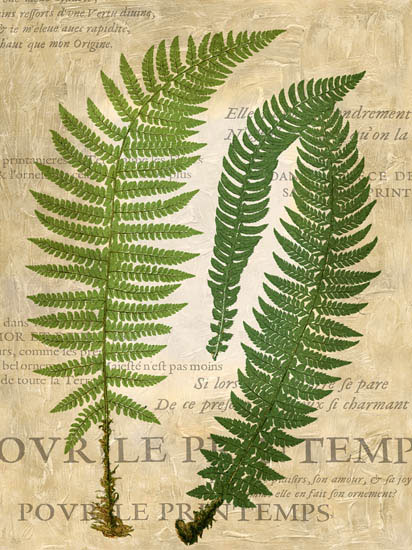 Compatible Floral Jahrriesnge  for leaves-lpf06896 