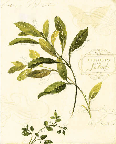 Compatible Floral Jahrriesnge  for leaves-lpf06905 