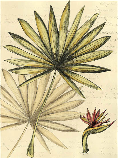 Compatible Floral Jahrriesnge  for flowers-lpf06909 