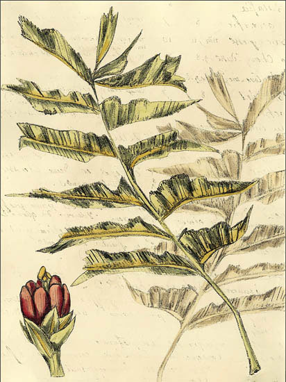 Compatible Floral Jahrriesnge  for flowers-lpf06910 