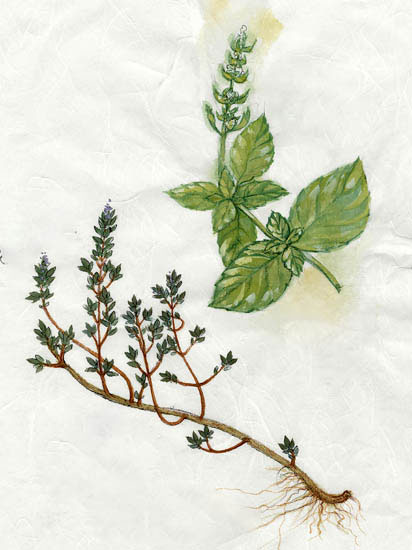 Compatible Floral Jahrriesnge  for flowers-lpf06912 