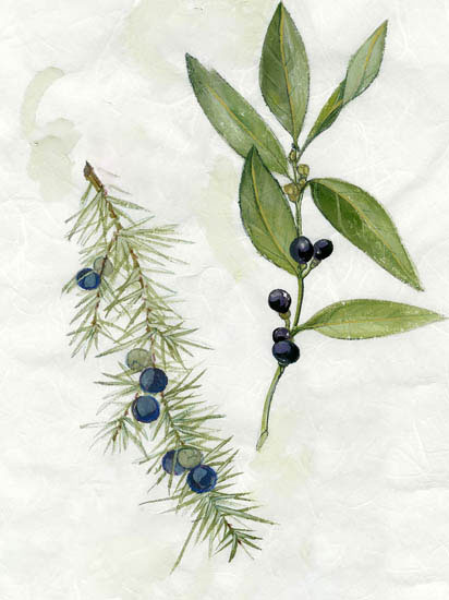 Compatible Floral Jahrriesnge  for flowers-lpf06913 