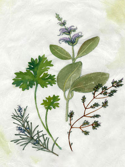 Compatible Floral Jahrriesnge  for flowers-lpf06914 