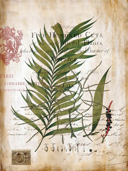 Compatible Floral Jahrriesnge  for flowers-lpf06916 