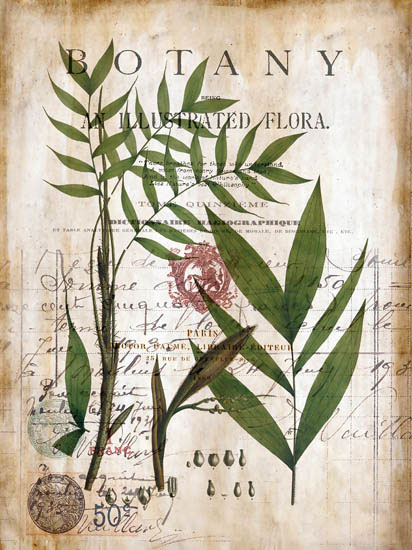 Compatible Floral Jahrriesnge  for flowers-lpf06917 