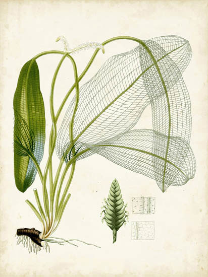 Compatible Floral Jahrriesnge  for flowers-lpf06918 