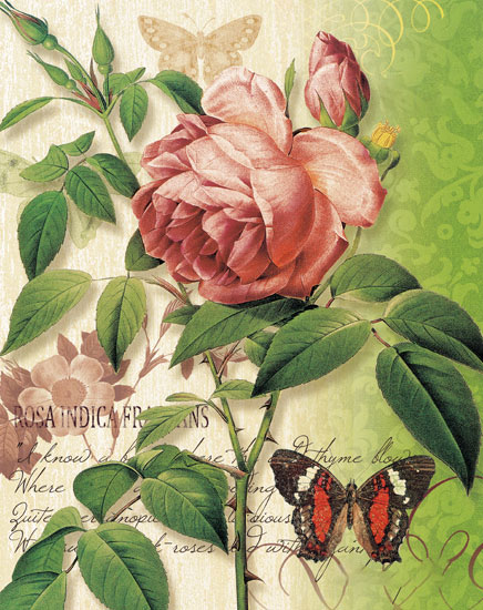 Compatible Floral Jahrriesnge  for flowers-lpf06935 