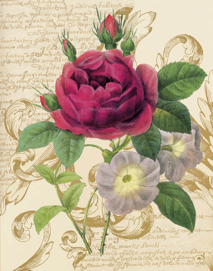 Compatible Floral Jahrriesnge  for flowers-lpf06938 