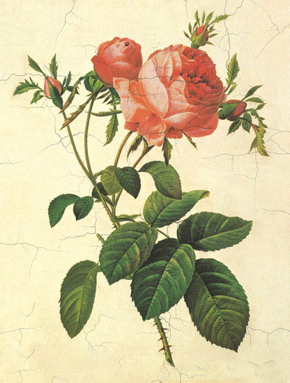 Compatible Floral Jahrriesnge  for flowers-lpf06951 