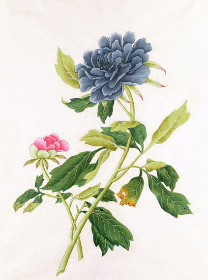 Compatible Floral Jahrriesnge  for flowers-lpf07045 