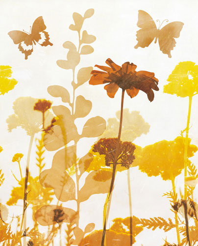 Compatible Floral Jahrriesnge  for flowers-lpf07155 