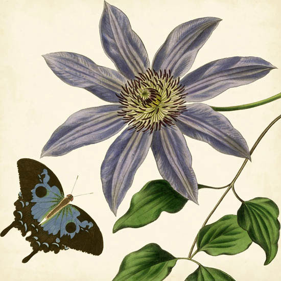 Compatible Floral Jahrriesnge  for flowers-lpf07413 