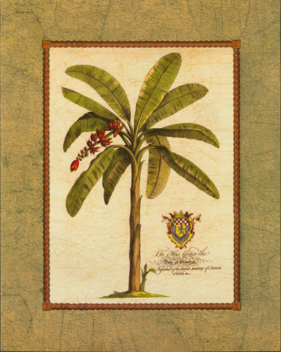 Compatible Floral Jahrriesnge  for flowers-lpf07483 