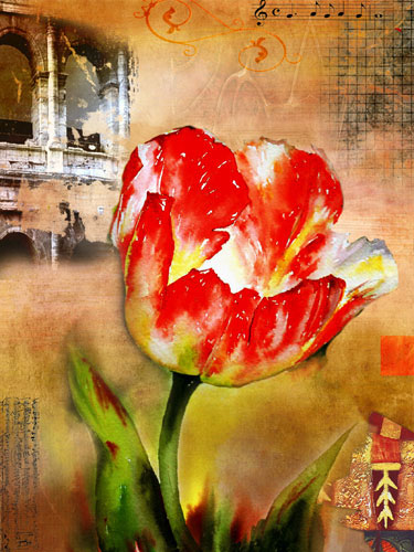 Compatible Floral Jahrriesnge  for flowers-lpf07518 