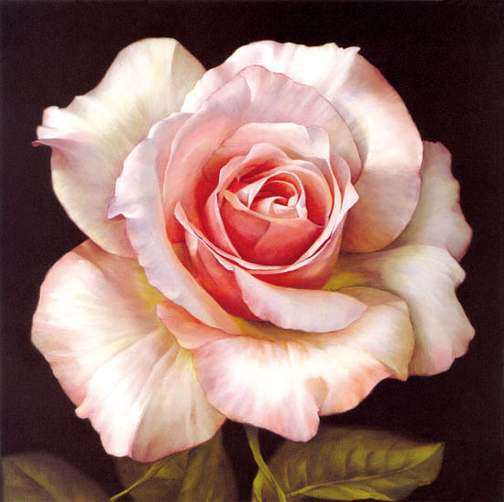 Compatible Floral Jahrriesnge  for flowers-lpf07539 