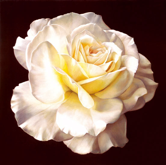 Compatible Floral Jahrriesnge  for flowers-lpf07540 