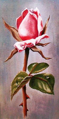 Compatible Floral Jahrriesnge  for flowers-lpf07586 