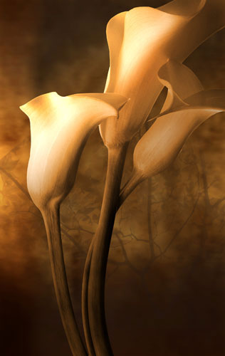 Compatible Floral Jahrriesnge  for flowers-lpf07591 