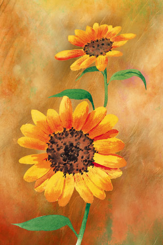 Compatible Floral Jahrriesnge  for flowers-lpf07597 