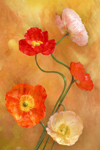 Compatible Floral Jahrriesnge  for flowers-lpf07598 