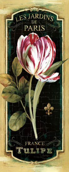 Compatible Floral Jahrriesnge  for flowers-lpf07679 