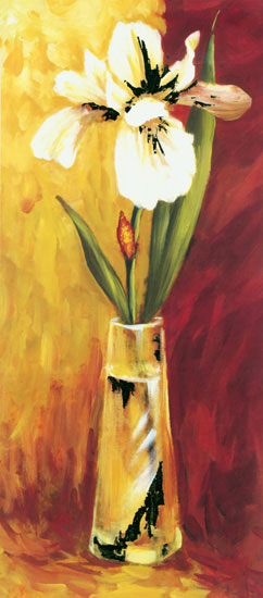 Compatible Floral Jahrriesnge  for flowers-lpf07704 