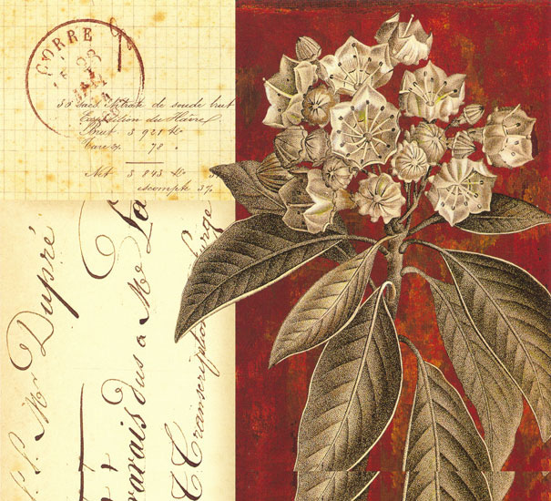 Compatible Floral Jahrriesnge  for flowers lpf08130 