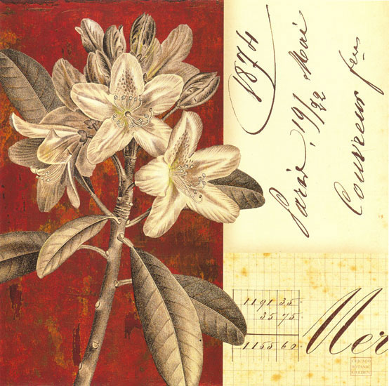 Compatible Floral Jahrriesnge  for flowers lpf08131 