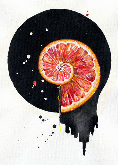 Compatible Floral Jahrriesnge  for fruits lpf08141 