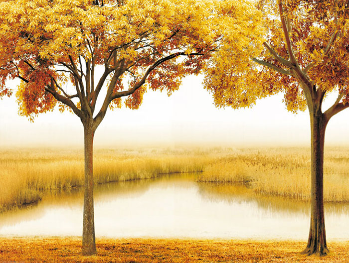 Compatible Paysage Jahrriesnge  for tree lpf08289 