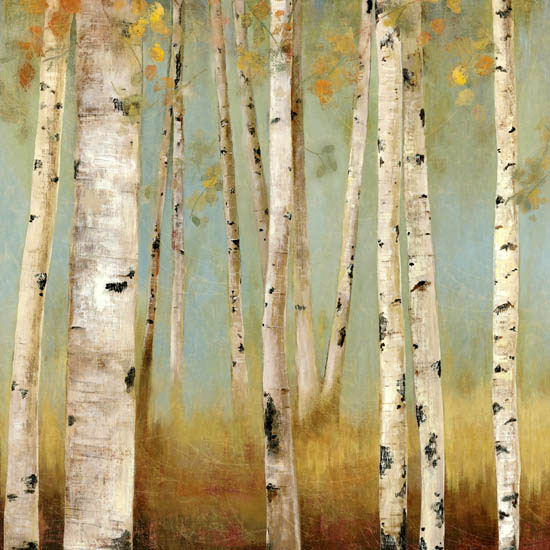 Compatible Paysage Jahrriesnge  for trees lpf08331 