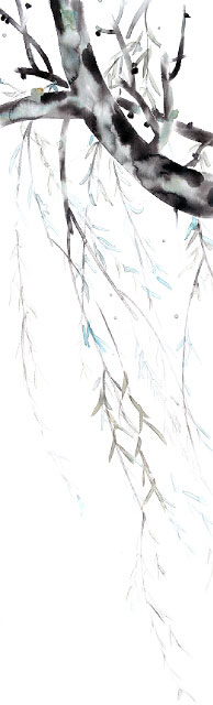 Compatible Paysage Jahrriesnge  for tree lpf09344 