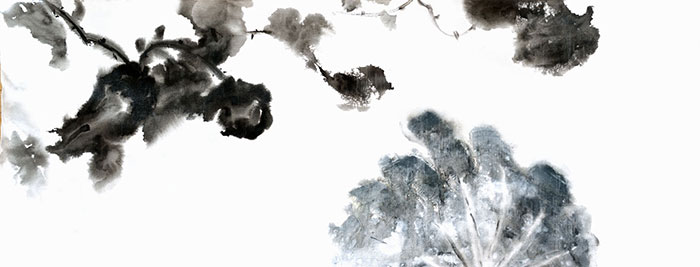 Compatible Paysage Jahrriesnge  for untitle lpf09417 