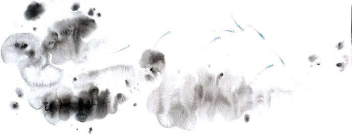 Compatible Paysage Jahrriesnge  for untitle lpf09418 