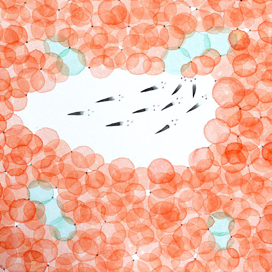 Compatible Paysage JAHRRIESNGE  for fishes lpf09456 