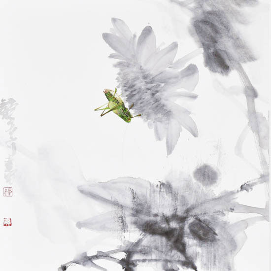 Compatible Paysage Jahrriesnge  for Katydids lpf09505 