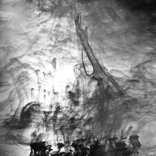 Compatible Paysage Jahrriesnge  for untitle lpf09512 