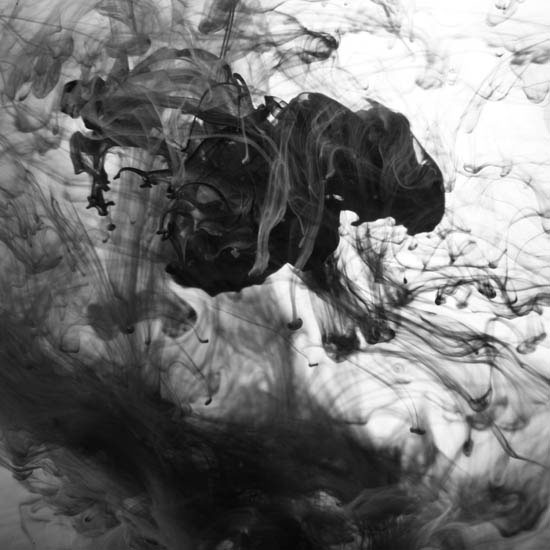 Compatible Paysage JAHRRIESNGE  for untitle lpf09518 